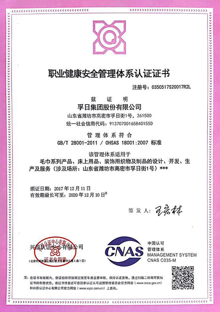 職業(yè)健康安全管理體系認(rèn)證證書